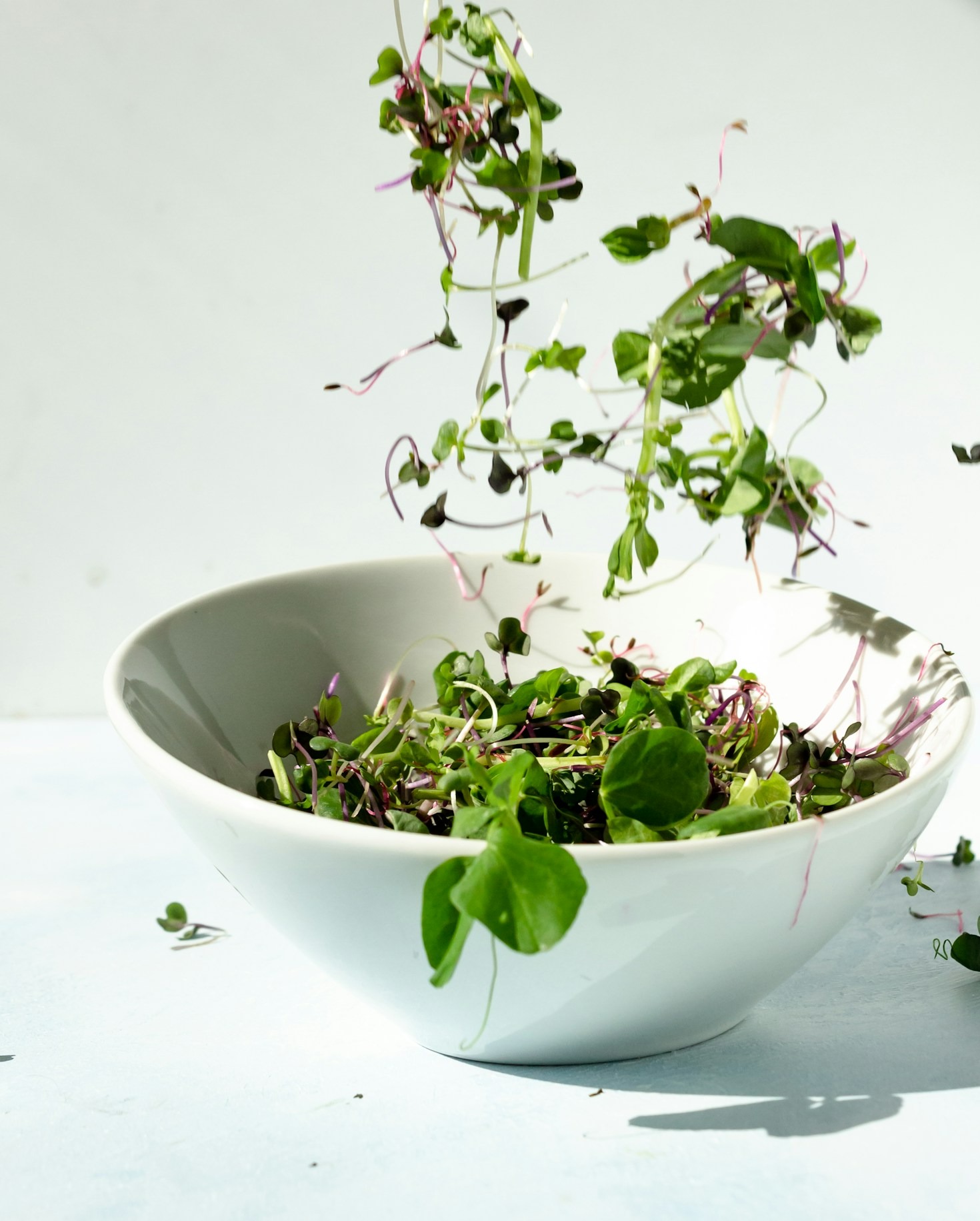 Microgreen Tinctures: A Health Boost in a Bottle